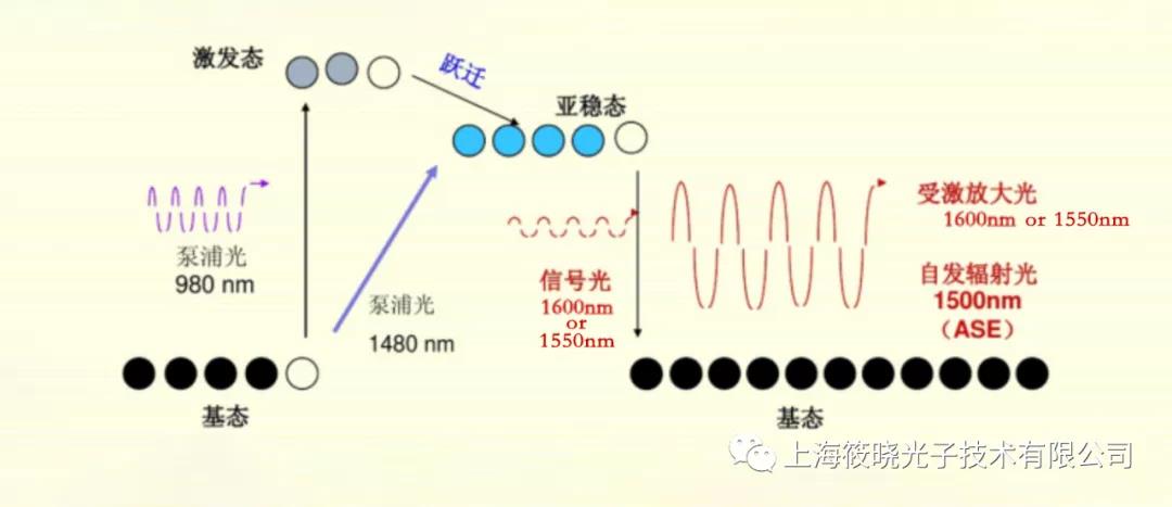 微信圖片_20210818092451.jpg
